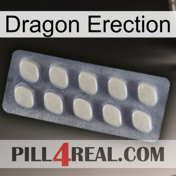 Dragon Erection 08.jpg